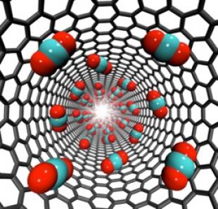 Carbon dioxide storage inside carbon nanotubes. ©Jason Reese and Matthew Borg