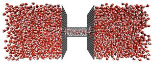 Water filtration by pressure driven flow through aligned carbon nanotube membranes. ©Jason Reese and Matthew Borg